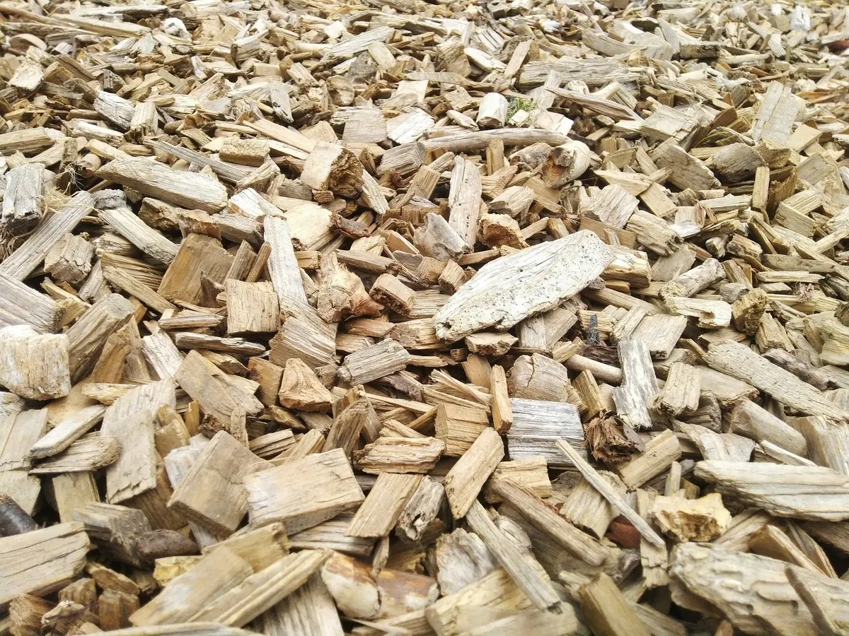 A close-up of pale wood chips